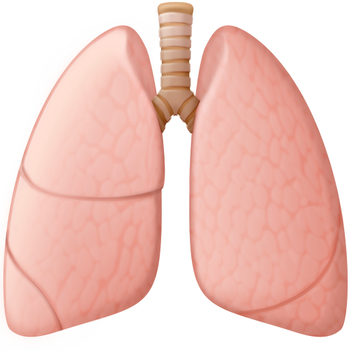 ๐ซ Lungs Emoji